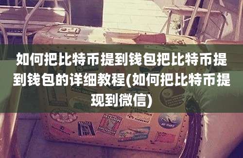 如何把比特币提到钱包把比特币提到钱包的详细教程(如何把比特币提现到微信)