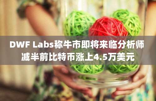 DWF Labs称牛市即将来临分析师 减半前比特币涨上4.5万美元