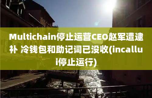 Multichain停止运营CEO赵军遭逮补 冷钱包和助记词已没收(incallui停止运行)