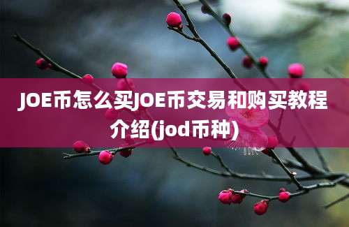 JOE币怎么买JOE币交易和购买教程介绍(jod币种)