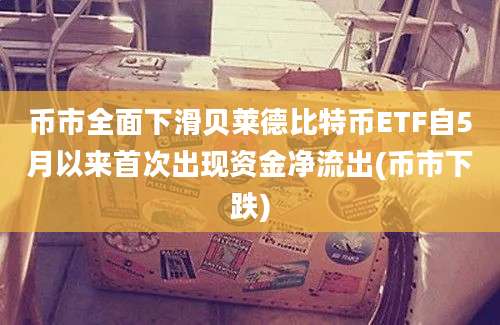 币市全面下滑贝莱德比特币ETF自5月以来首次出现资金净流出(币市下跌)