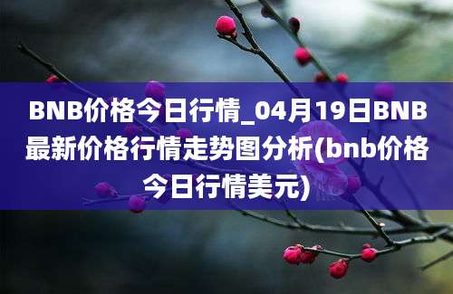 BNB价格今日行情_04月19日BNB最新价格行情走势图分析(bnb价格今日行情美元)