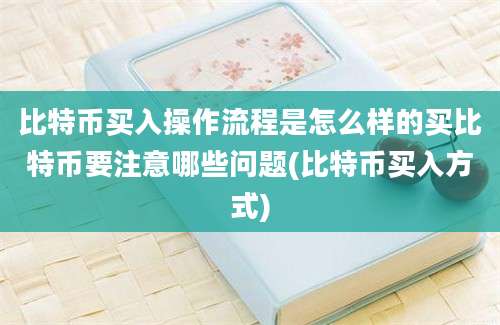 比特币买入操作流程是怎么样的买比特币要注意哪些问题(比特币买入方式)