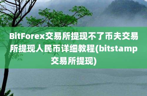 BitForex交易所提现不了币夫交易所提现人民币详细教程(bitstamp交易所提现)