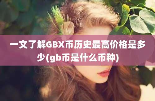 一文了解GBX币历史最高价格是多少(gb币是什么币种)