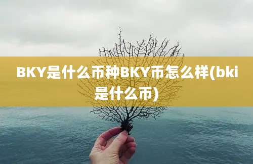 BKY是什么币种BKY币怎么样(bki是什么币)