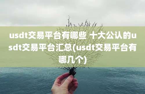 usdt交易平台有哪些 十大公认的usdt交易平台汇总(usdt交易平台有哪几个)