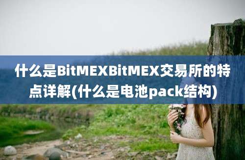 什么是BitMEXBitMEX交易所的特点详解(什么是电池pack结构)