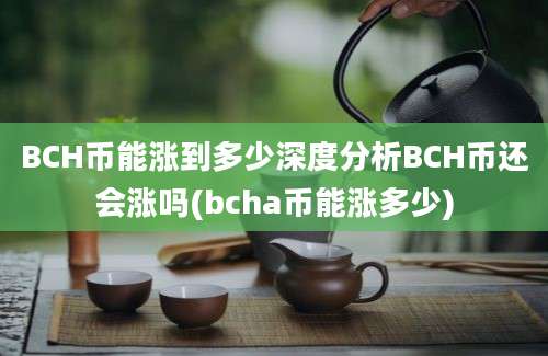 BCH币能涨到多少深度分析BCH币还会涨吗(bcha币能涨多少)