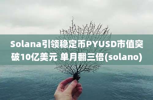 Solana引领稳定币PYUSD市值突破10亿美元 单月翻三倍(solano)