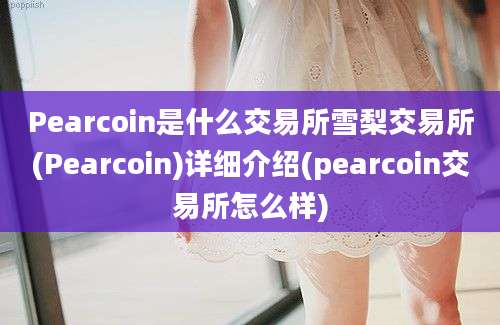 Pearcoin是什么交易所雪梨交易所(Pearcoin)详细介绍(pearcoin交易所怎么样)