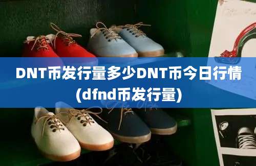 DNT币发行量多少DNT币今日行情(dfnd币发行量)