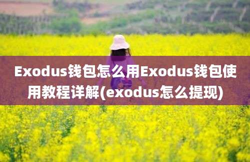 Exodus钱包怎么用Exodus钱包使用教程详解(exodus怎么提现)