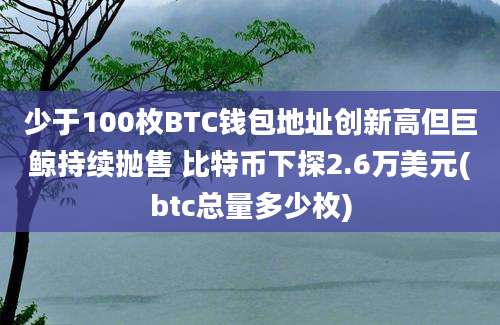 少于100枚BTC钱包地址创新高但巨鲸持续抛售 比特币下探2.6万美元(btc总量多少枚)