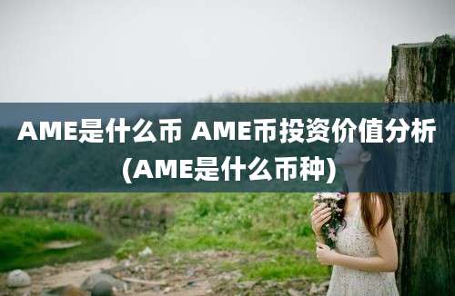 AME是什么币 AME币投资价值分析(AME是什么币种)