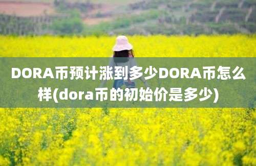 DORA币预计涨到多少DORA币怎么样(dora币的初始价是多少)