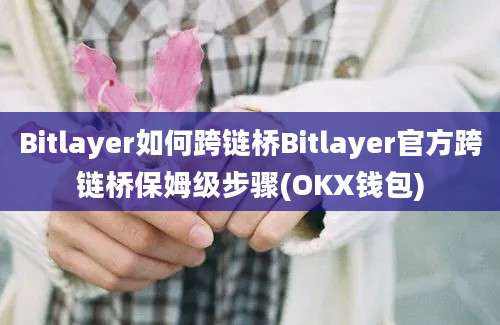 Bitlayer如何跨链桥Bitlayer官方跨链桥保姆级步骤(OKX钱包)