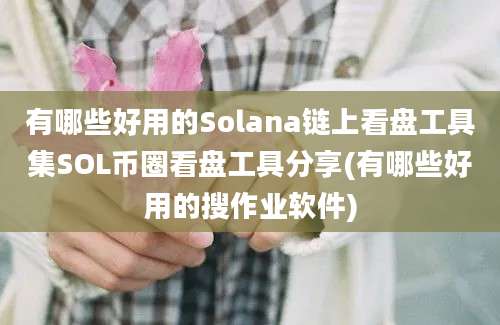 有哪些好用的Solana链上看盘工具集SOL币圈看盘工具分享(有哪些好用的搜作业软件)