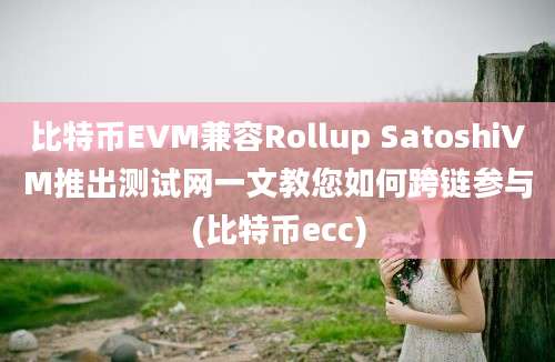 比特币EVM兼容Rollup SatoshiVM推出测试网一文教您如何跨链参与(比特币ecc)