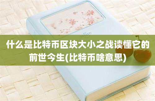 什么是比特币区块大小之战读懂它的前世今生(比特币啥意思)