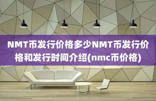 NMT币发行价格多少NMT币发行价格和发行时间介绍(nmc币价格)