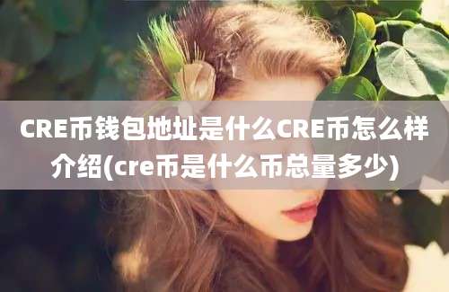 CRE币钱包地址是什么CRE币怎么样介绍(cre币是什么币总量多少)