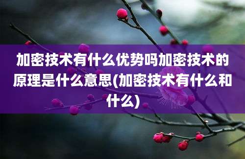 加密技术有什么优势吗加密技术的原理是什么意思(加密技术有什么和什么)