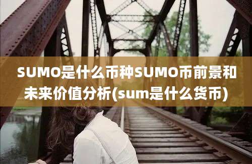 SUMO是什么币种SUMO币前景和未来价值分析(sum是什么货币)