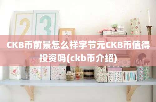 CKB币前景怎么样字节元CKB币值得投资吗(ckb币介绍)