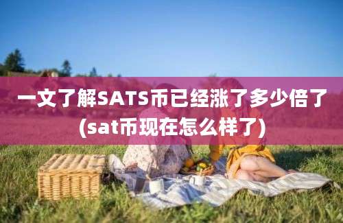 一文了解SATS币已经涨了多少倍了(sat币现在怎么样了)