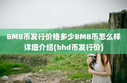 BMB币发行价格多少BMB币怎么样详细介绍(bhd币发行价)