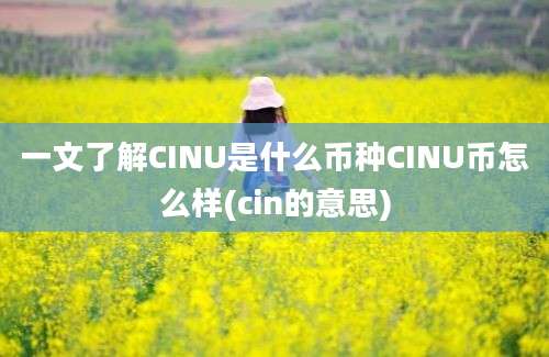 一文了解CINU是什么币种CINU币怎么样(cin的意思)