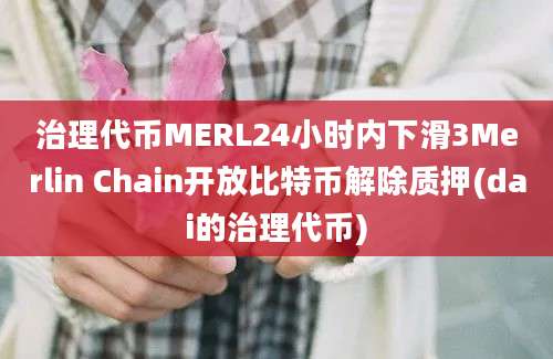 治理代币MERL24小时内下滑3Merlin Chain开放比特币解除质押(dai的治理代币)