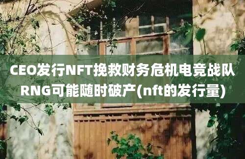 CEO发行NFT挽救财务危机电竞战队RNG可能随时破产(nft的发行量)