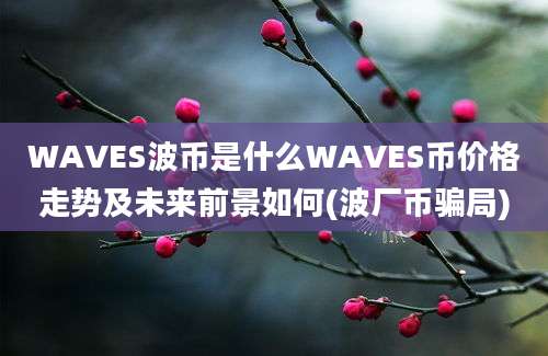 WAVES波币是什么WAVES币价格走势及未来前景如何(波厂币骗局)