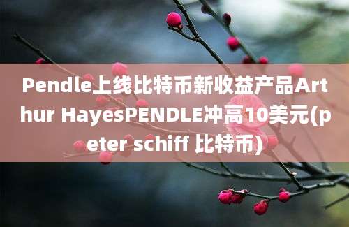 Pendle上线比特币新收益产品Arthur HayesPENDLE冲高10美元(peter schiff 比特币)