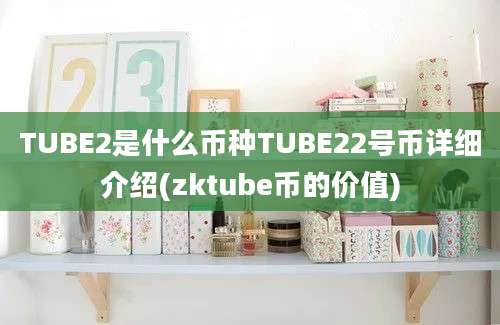 TUBE2是什么币种TUBE22号币详细介绍(zktube币的价值)