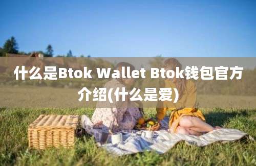 什么是Btok Wallet Btok钱包官方介绍(什么是爱)