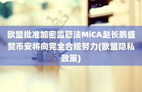 欧盟批准加密监管法MiCA赵长鹏盛赞币安将向完全合规努力(欧盟隐私政策)