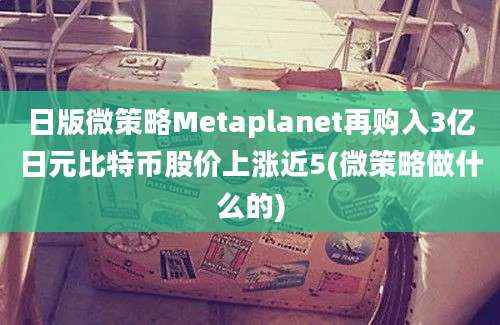 日版微策略Metaplanet再购入3亿日元比特币股价上涨近5(微策略做什么的)