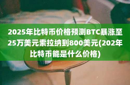 2025年比特币价格预测BTC暴涨至25万美元索拉纳到800美元(202年比特币能是什么价格)