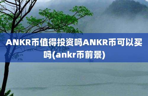 ANKR币值得投资吗ANKR币可以买吗(ankr币前景)