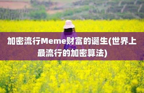 加密流行Meme财富的诞生(世界上最流行的加密算法)