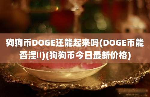 狗狗币DOGE还能起来吗(DOGE币能否涅槃)(狗狗币今日最新价格)