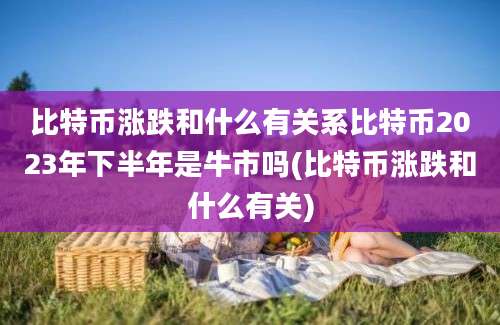 比特币涨跌和什么有关系比特币2023年下半年是牛市吗(比特币涨跌和什么有关)