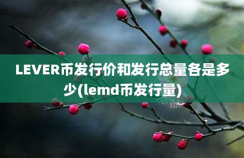 LEVER币发行价和发行总量各是多少(lemd币发行量)