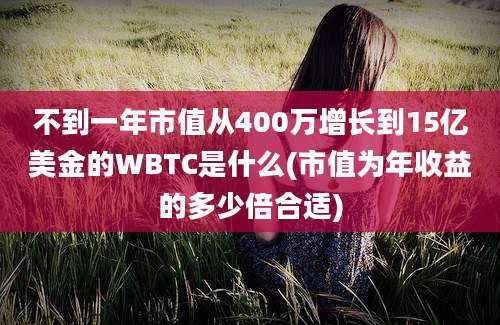 不到一年市值从400万增长到15亿美金的WBTC是什么(市值为年收益的多少倍合适)