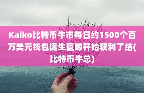 Kaiko比特币牛市每日约1500个百万美元钱包诞生巨鲸开始获利了结(比特币牛总)