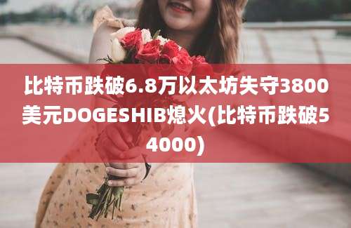 比特币跌破6.8万以太坊失守3800美元DOGESHIB熄火(比特币跌破54000)