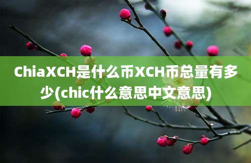 ChiaXCH是什么币XCH币总量有多少(chic什么意思中文意思)